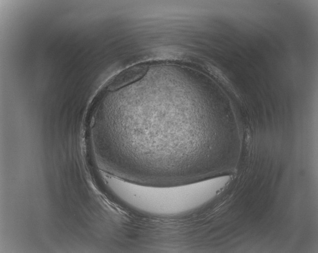 X0000060570676200511071020