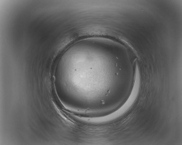 X0000060570677200511071020