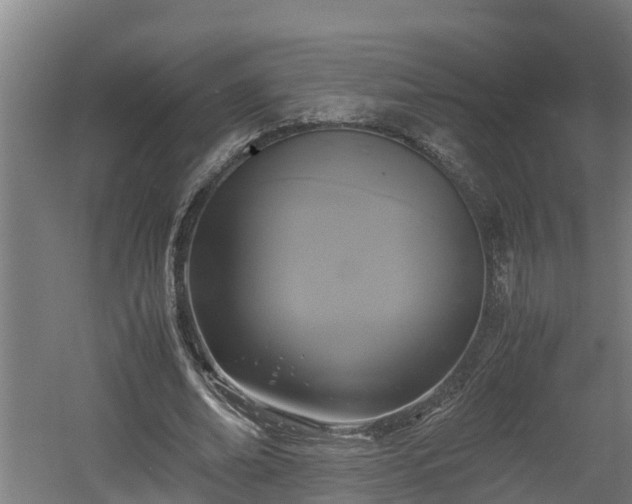 X0000060570678200511071020