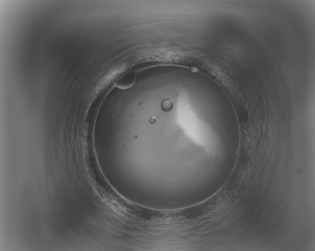 X0000060570679200511071020