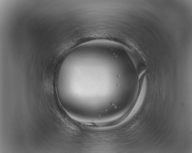 X0000060570681200511071020