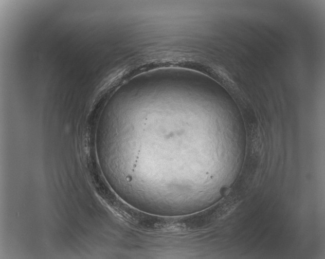 X0000060570683200511071020