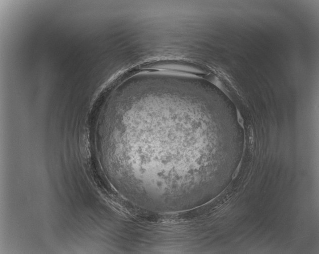 X0000060570684200511071020