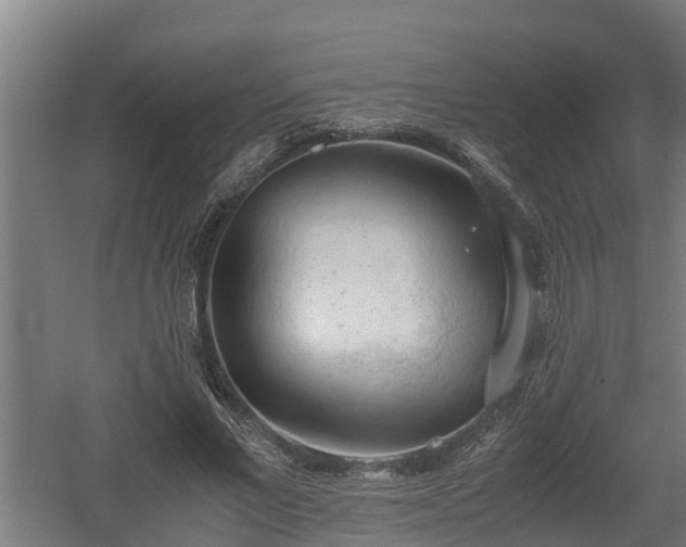 X0000060570685200511071020