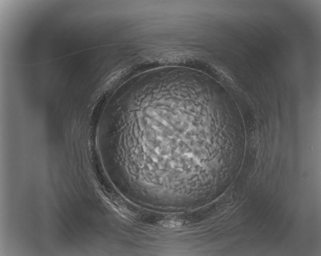 X0000060570687200511071020