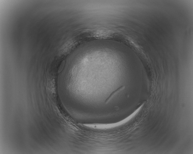 X0000060570689200511071019