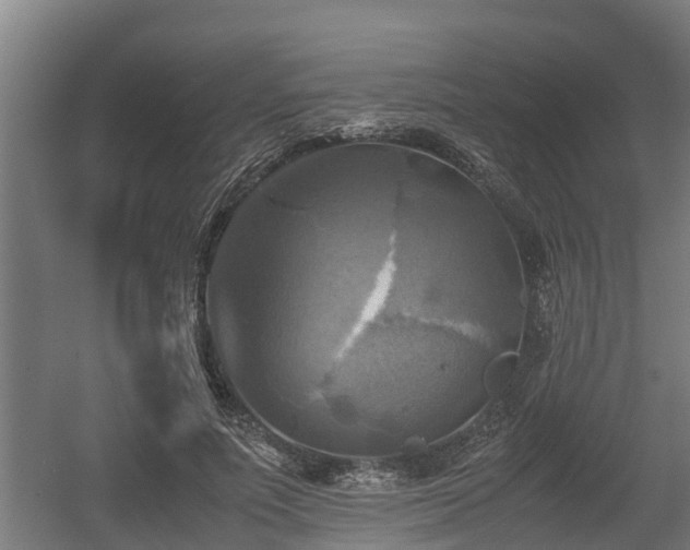 X0000060570691200511071019