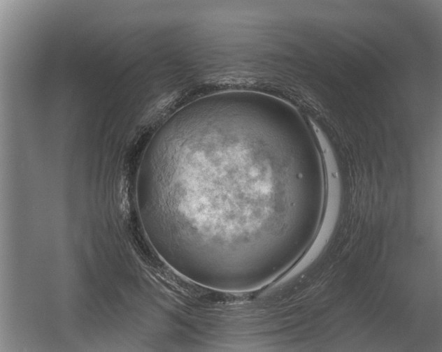 X0000060570692200511071019