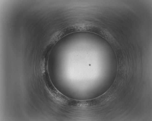 X0000060570694200511071019