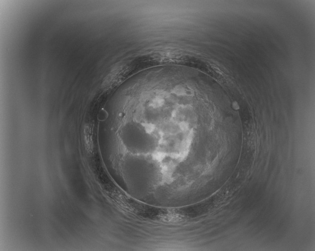 X0000060570695200511071019