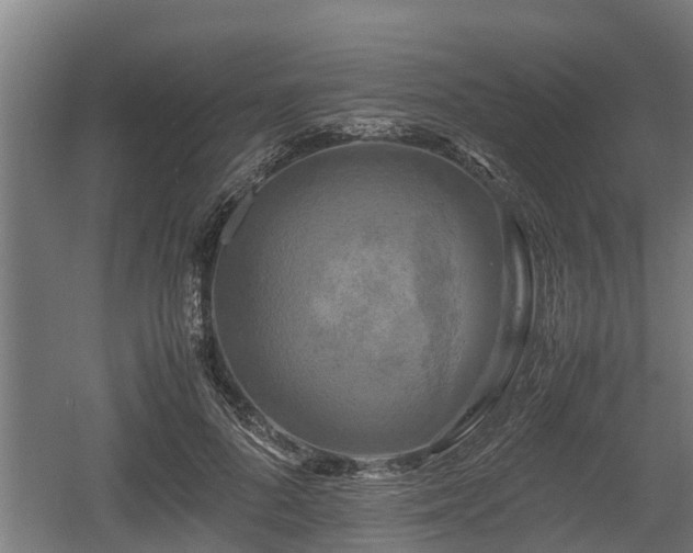 X0000060570696200511071019