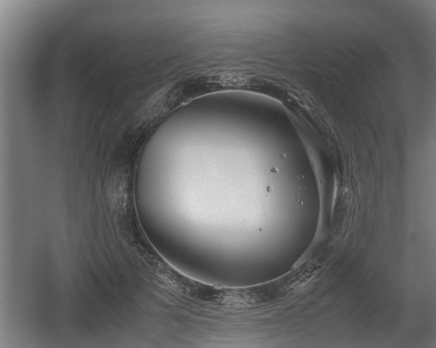 X0000060570697200511071019