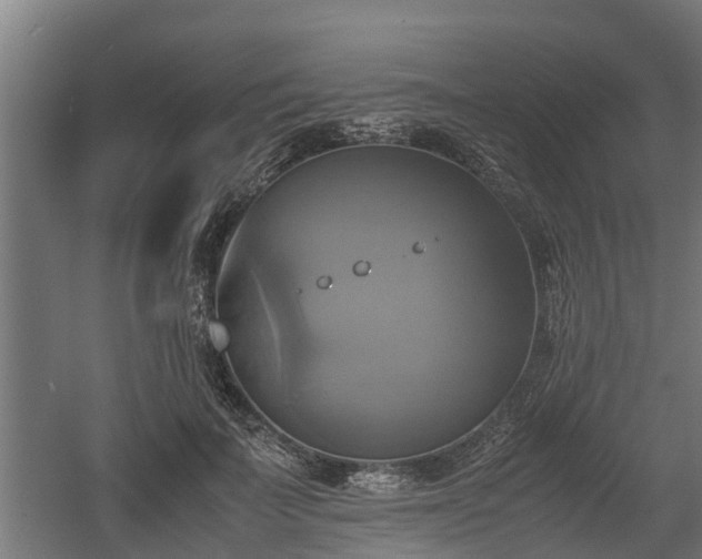 X0000060570699200511071019