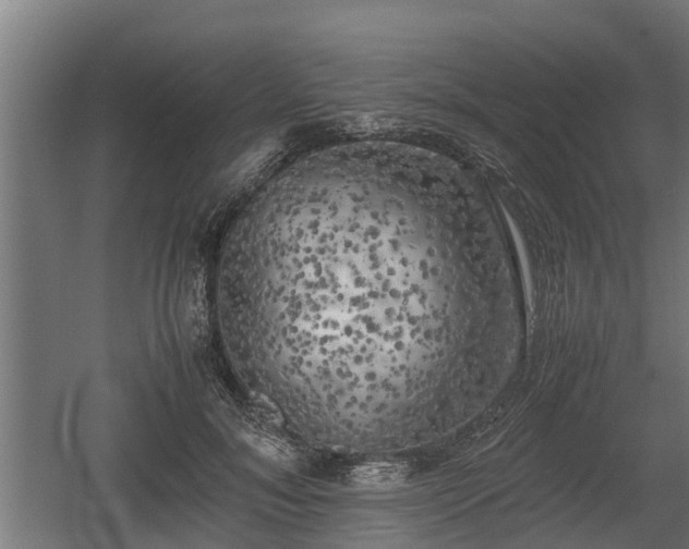 X0000060570700200511071019