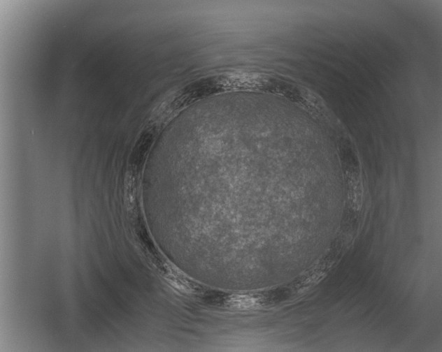 X0000060570701200511071019