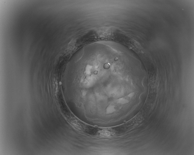 X0000060570703200511071019