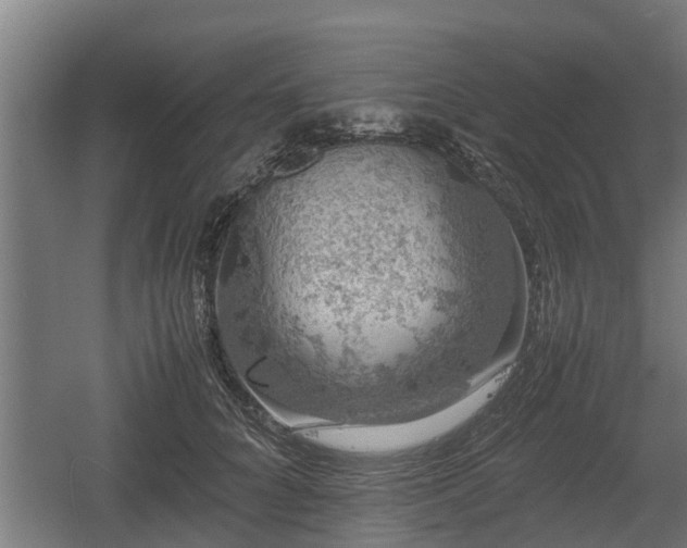 X0000060570704200511071019