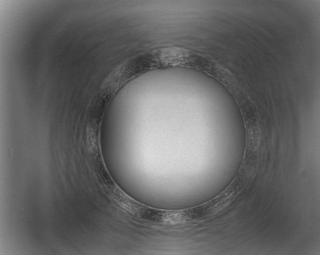 X0000060570705200511071019