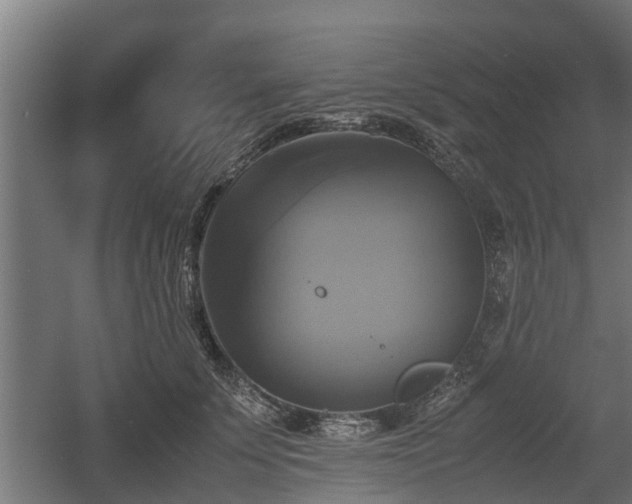 X0000060570707200511071019