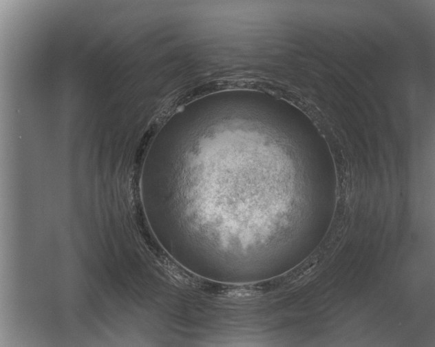 X0000060570708200511071019