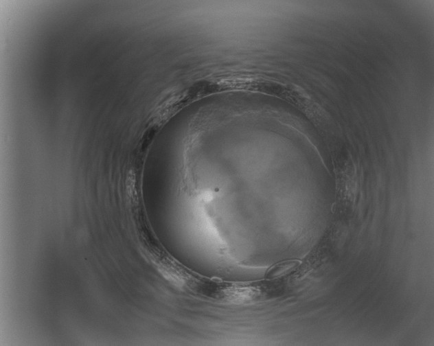 X0000060570711200511071019