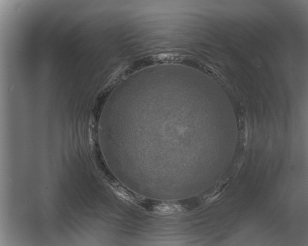 X0000060570712200511071019