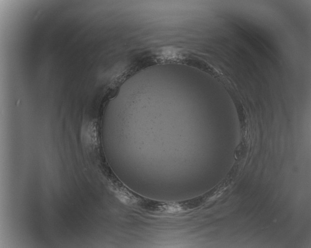 X0000060570715200511071019