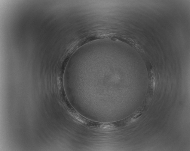 X0000060570716200511071019