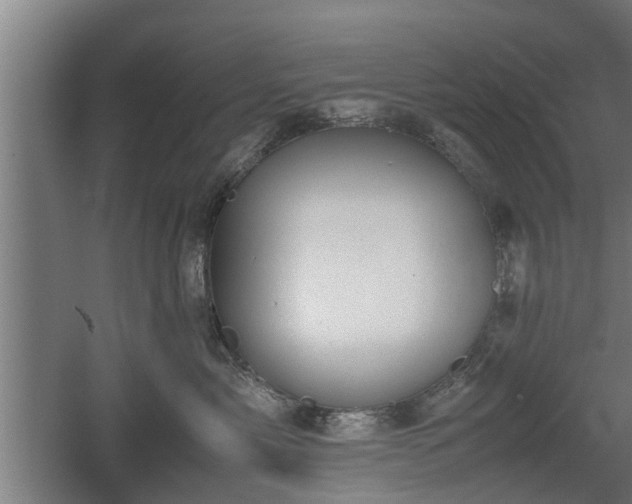 X0000060570717200511071019