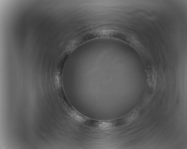 X0000060570718200511071019