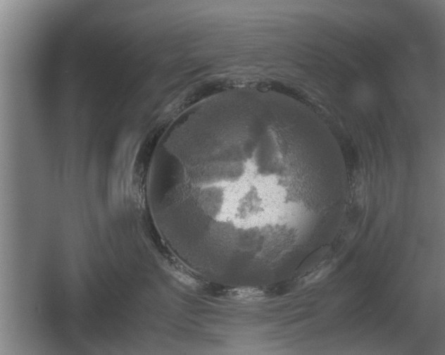 X0000060570719200511071019