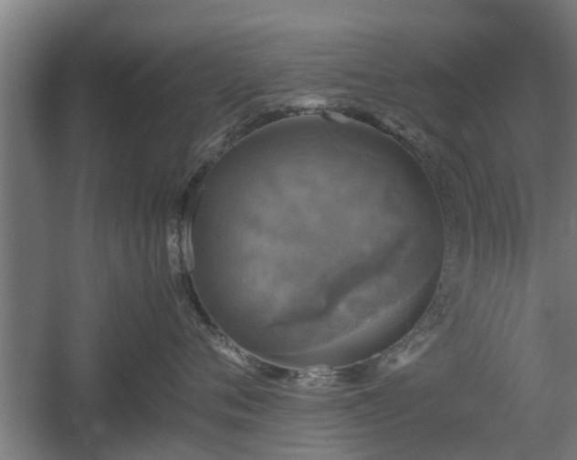 X0000060570720200511071019