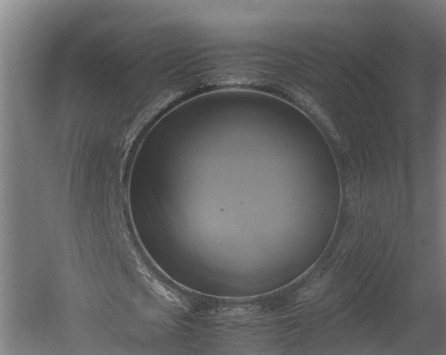 X0000060570721200511071018