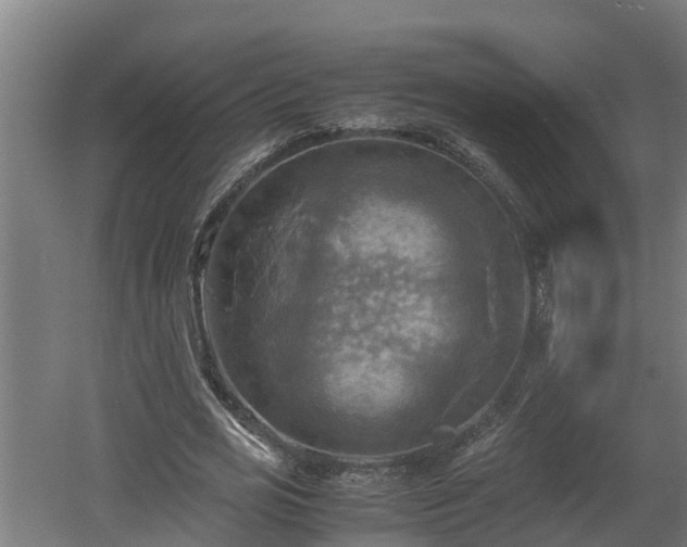 X0000060570725200511071018