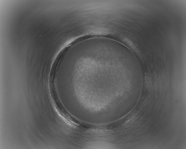 X0000060570726200511071018