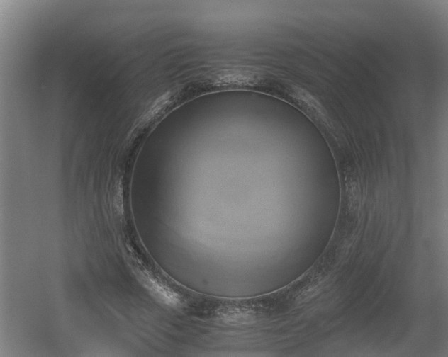 X0000060570729200511071018