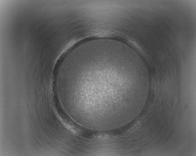 X0000060570730200511071018