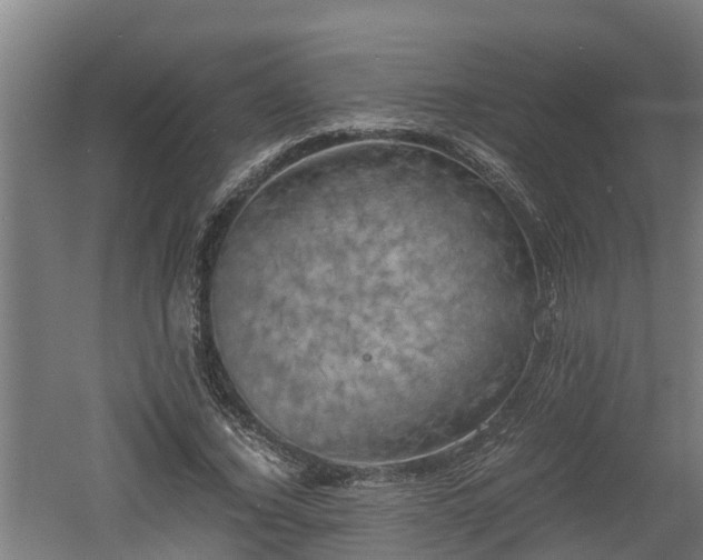 X0000060570732200511071018