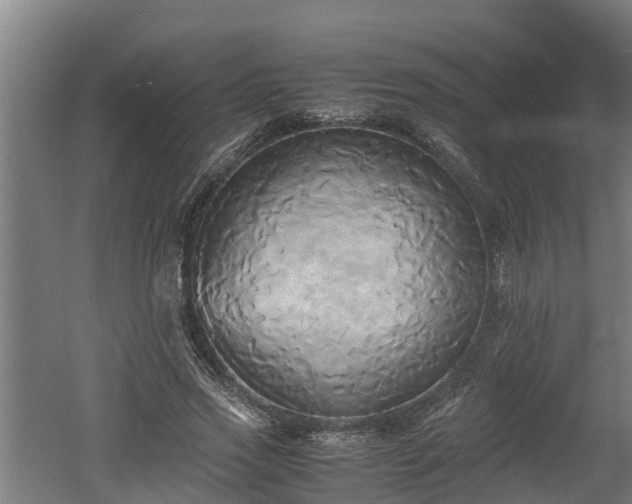 X0000060570733200511071018