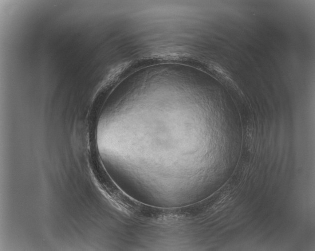 X0000060570734200511071018