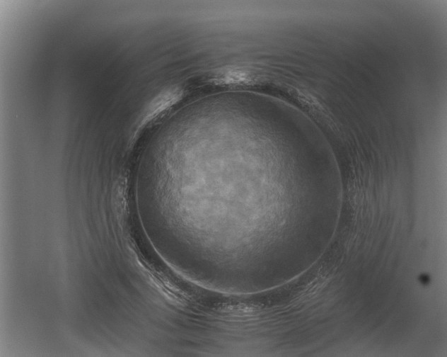 X0000060570735200511071018