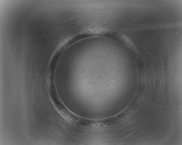 X0000060570736200511071018