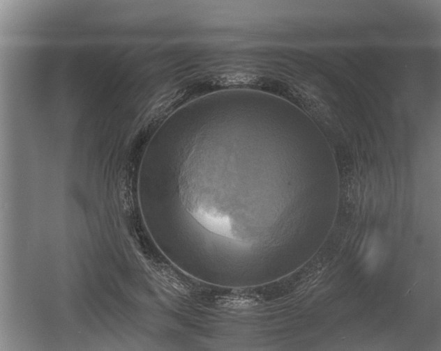 X0000060570743200511071019