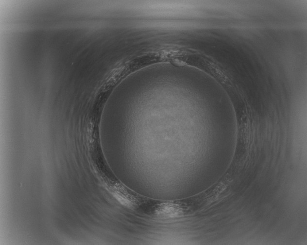 X0000060570750200511071019