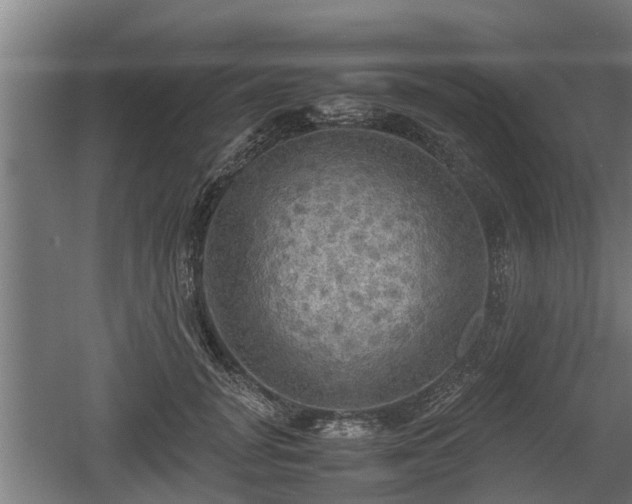 X0000060570751200511071019