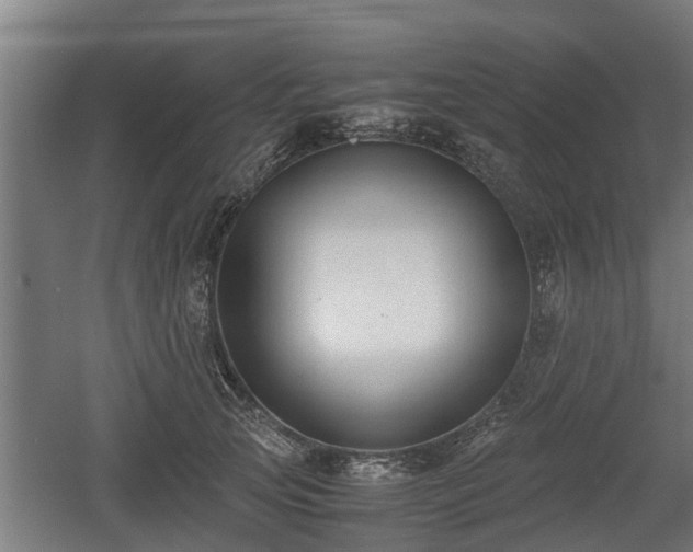 X0000060570753200511071019