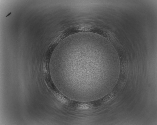 X0000060570755200511071019