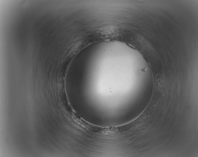 X0000060570756200511071019