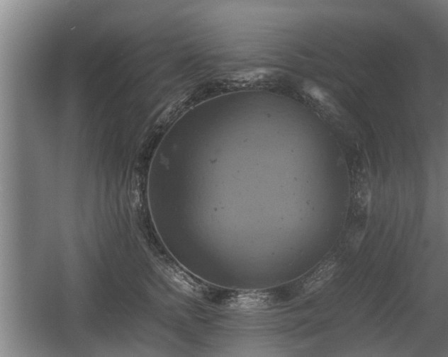 X0000060570758200511071019