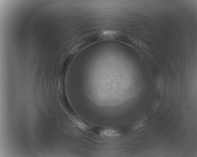 X0000060570759200511071019